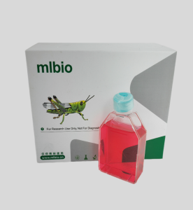 MSCs(mUCMSCs)小鼠臍帶間充質干細胞主圖