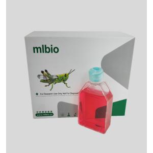 人氣管上皮細胞主圖