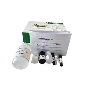 &beta;-胡蘿卜素含量檢測試劑盒主圖