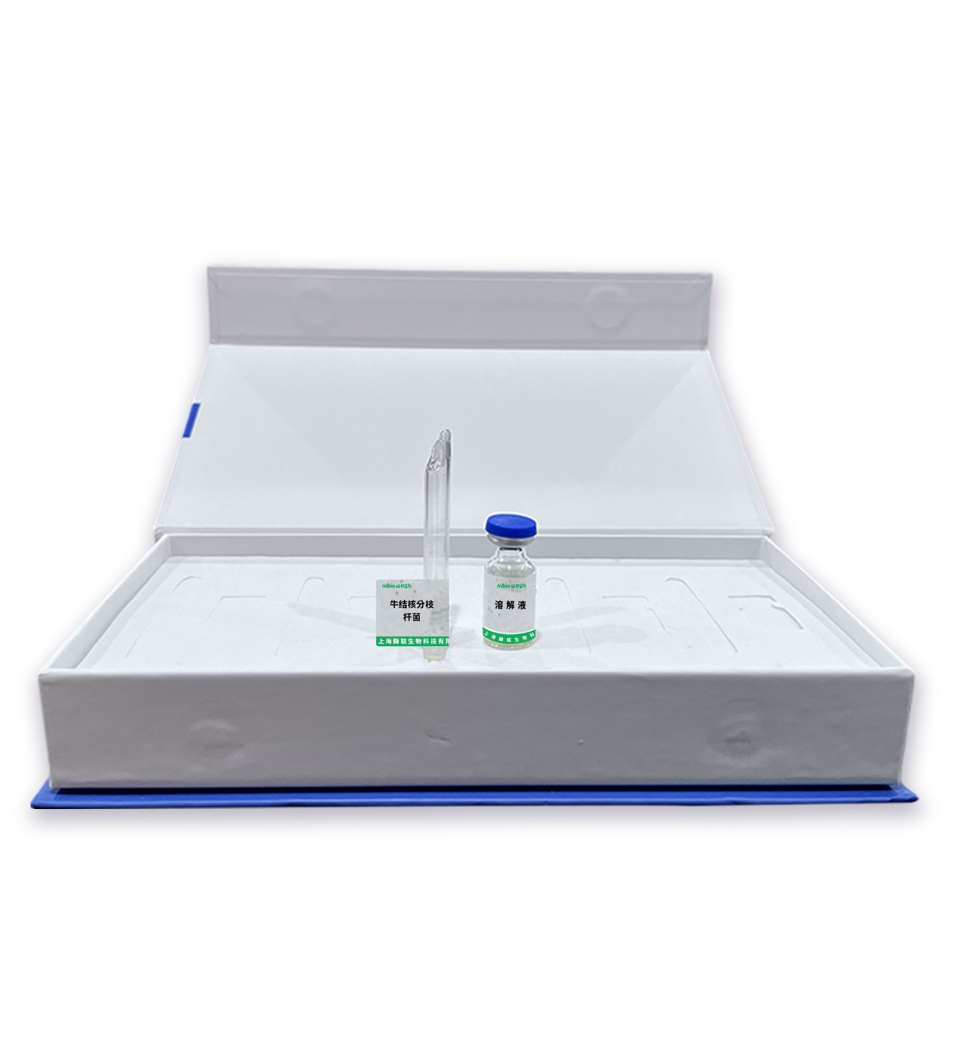牛結核分枝桿菌主圖