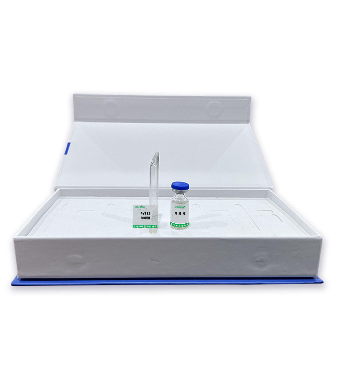 PYES2酵母菌主圖