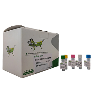 嗜吞噬細(xì)胞無(wú)漿體探針法qPCR試劑盒(不含內(nèi)參)主圖