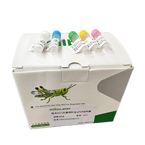 豕鏈球菌探針法qPCR試劑盒(不含內參)主圖