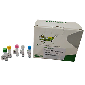 人腺病毒D49型探針法qPCR試劑盒(不含內(nèi)參)主圖