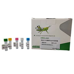 綠膿假單胞菌探針法qPCR試劑盒(不含內參)主圖