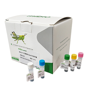 柯薩奇病毒A16型變種探針法qRT-PCR試劑盒(不含內(nèi)參)主圖