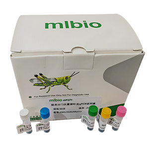 腦膜炎奈瑟菌A群探針?lè)╭PCR試劑盒(不含內(nèi)參)主圖