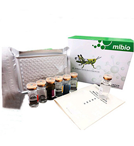 小鼠D-乳酸(D-LA)定量檢測(cè)試劑盒主圖